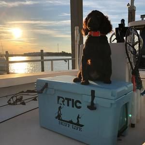 Meet your Posher, Jordan